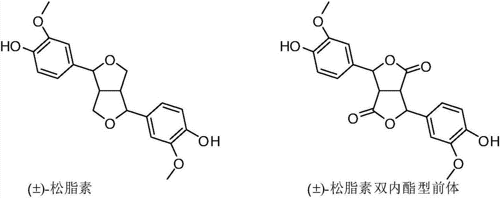 A pinoresinol precursor and a synthetic method thereof