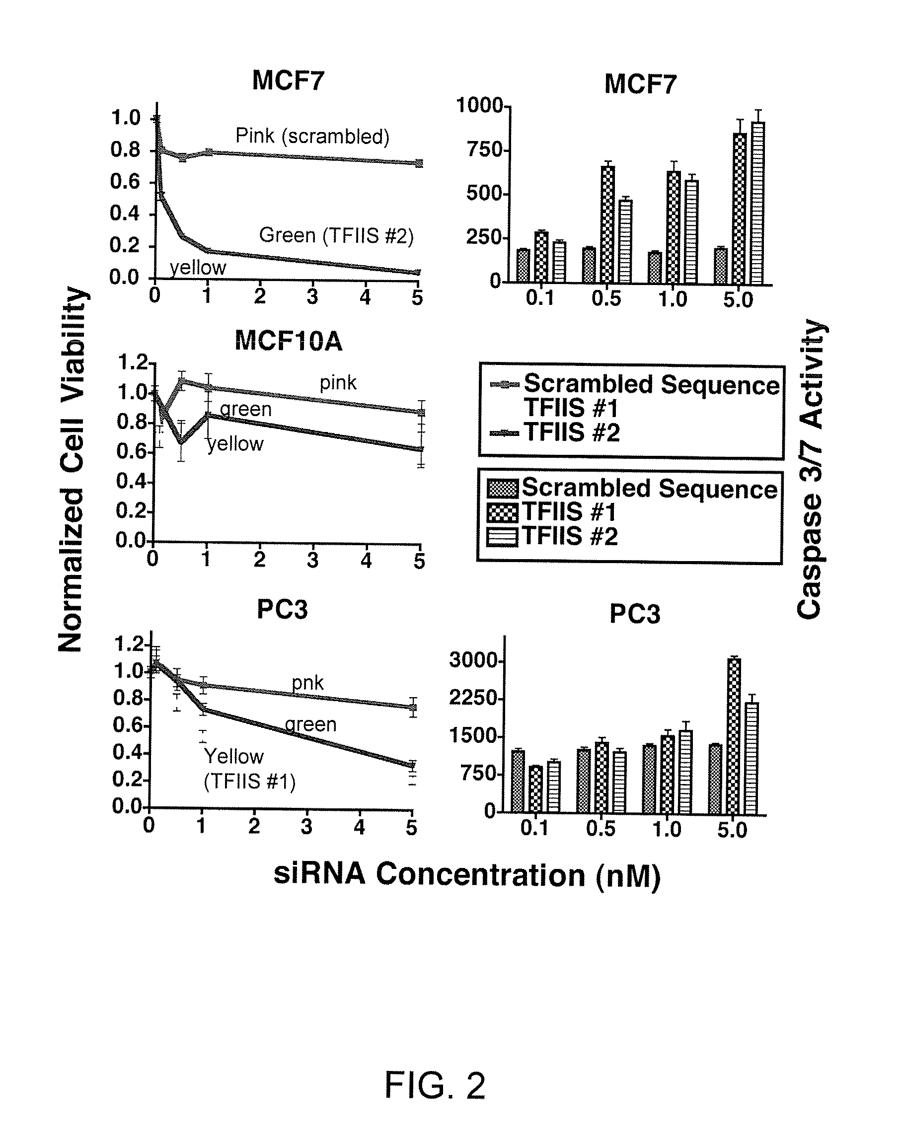 Tfiis and gdown1 as targets for cancer therapy