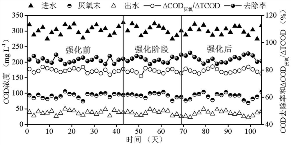 Method for strengthening biological phosphorus removal of municipal sewage A/O process through internal reflux of sludge