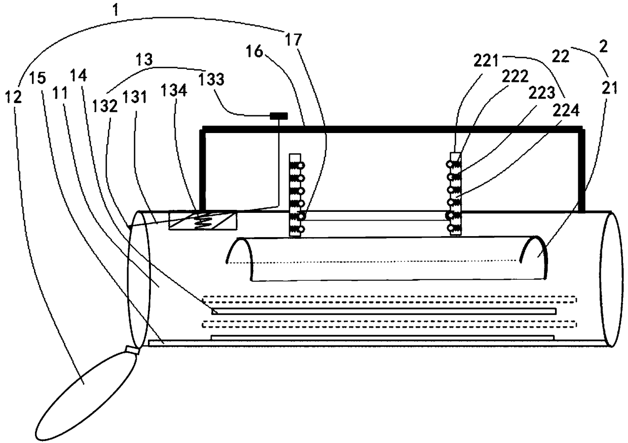 Finless eel injection administration device