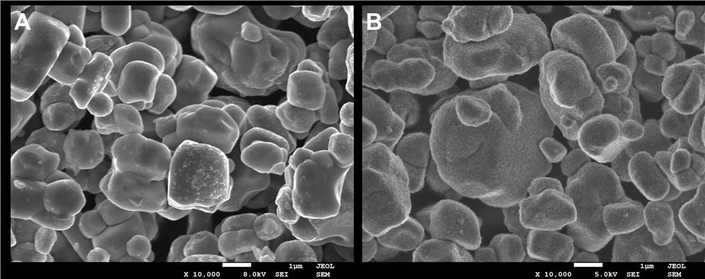 Preparation method and application of single-crystal high-nickel ternary material with completely modified surface