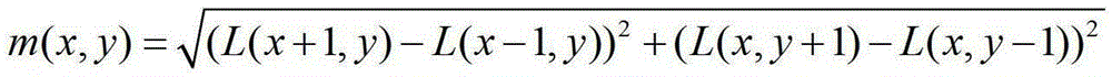 Image Classification Method Based on Spatial Local Aggregation of Description Vectors