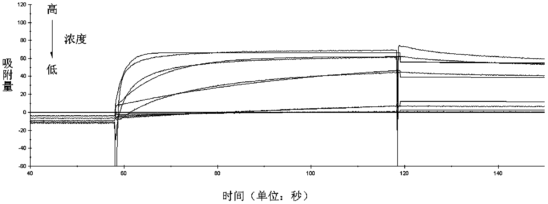 Small molecular antibody affinity peptide and application thereof