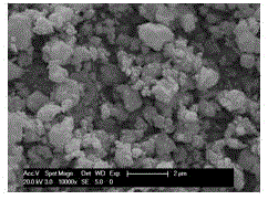 A kind of negative electrode material of lithium ion battery and preparation method thereof