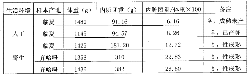 Artificial domestication and broodstock culture method of platypharodon extremus