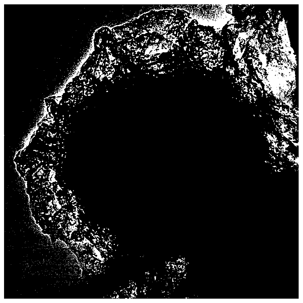 Preparation method of V-doped NiO coated V-doped Ni3S2 core-shell structure