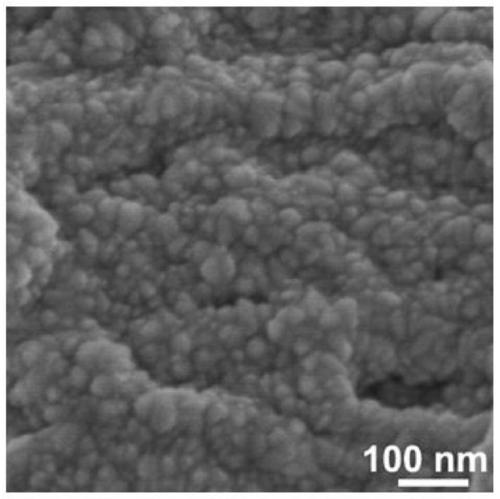 High-efficiency long-life antimony doped tin oxide electrode with three-dimensional structure