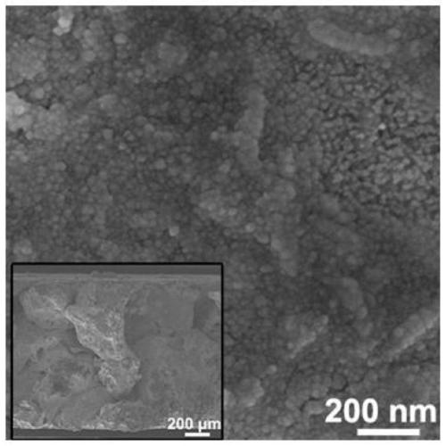 High-efficiency long-life antimony doped tin oxide electrode with three-dimensional structure