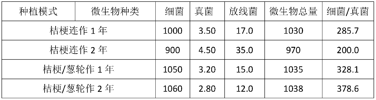 Intercropping method of wheat, spring onion and Platycodon grandiflorum for disaster prevention and mitigation