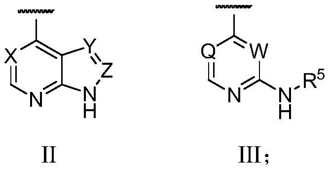(1R, 4R, 7R)-7-amino-2-azabicyclo [2, 2, 1] heptane derivative and preparation method thereof