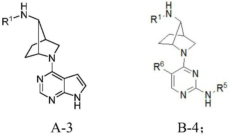 (1R, 4R, 7R)-7-amino-2-azabicyclo [2, 2, 1] heptane derivative and preparation method thereof