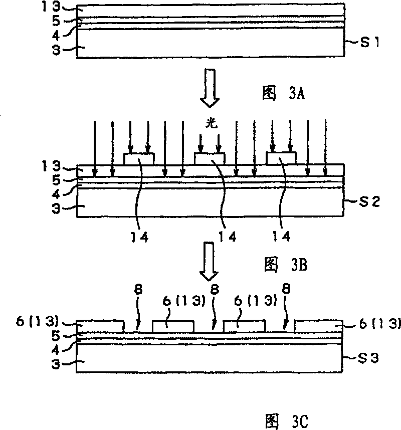 Biochemical reaction apparatus, biochemical reaction substrate, process for producing hybridization substrate and hybridization method