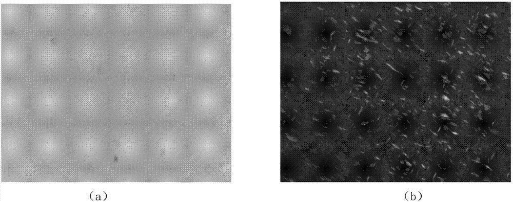 Nasal nano-preparation puerarin liquid crystal nanoparticle and preparation method thereof