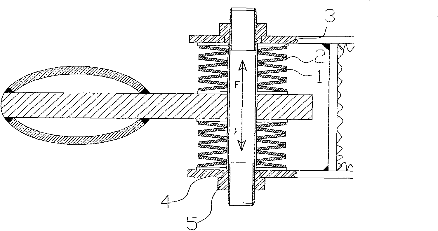 Damping device with disk spring assembly structure