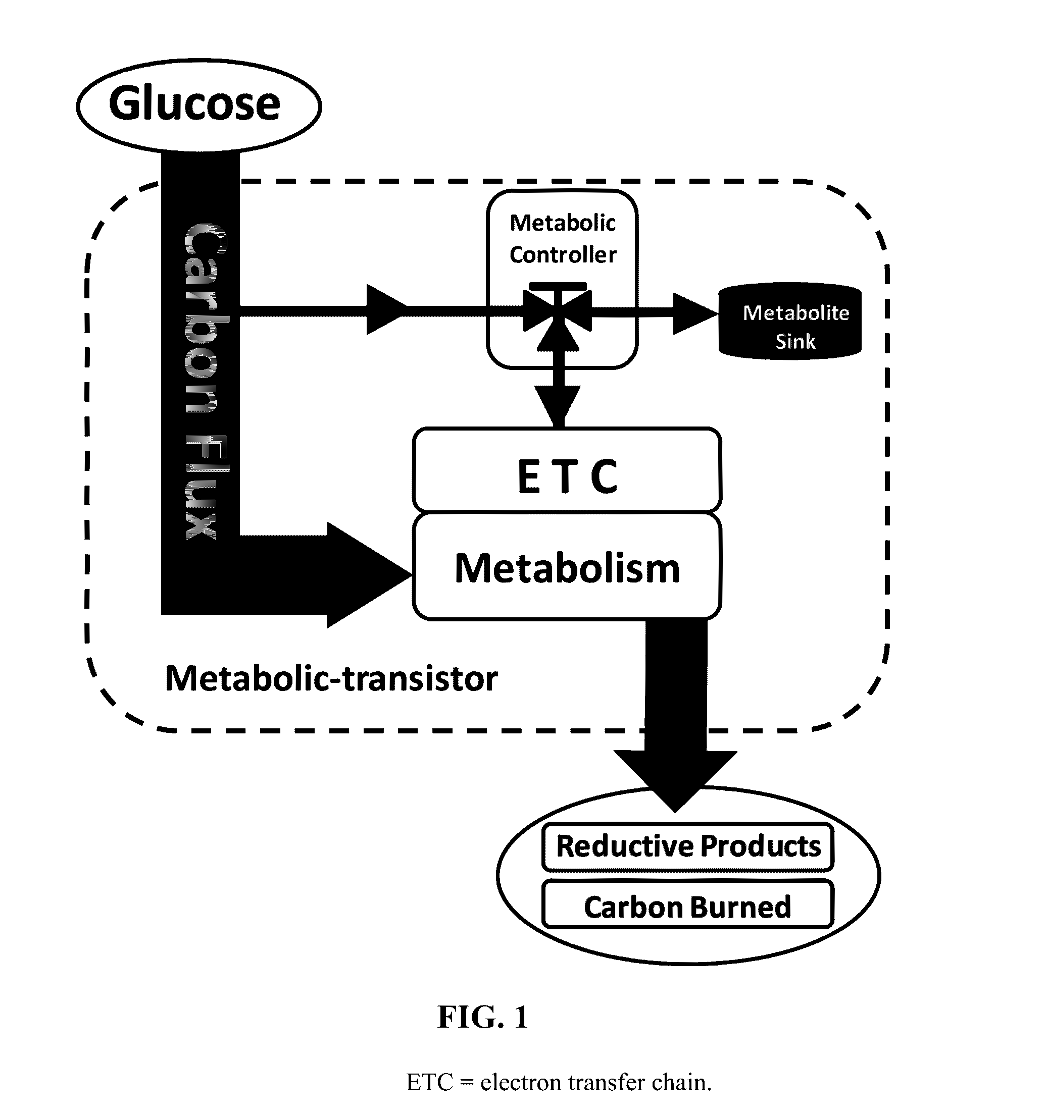 Metabolic transistor in bacteria