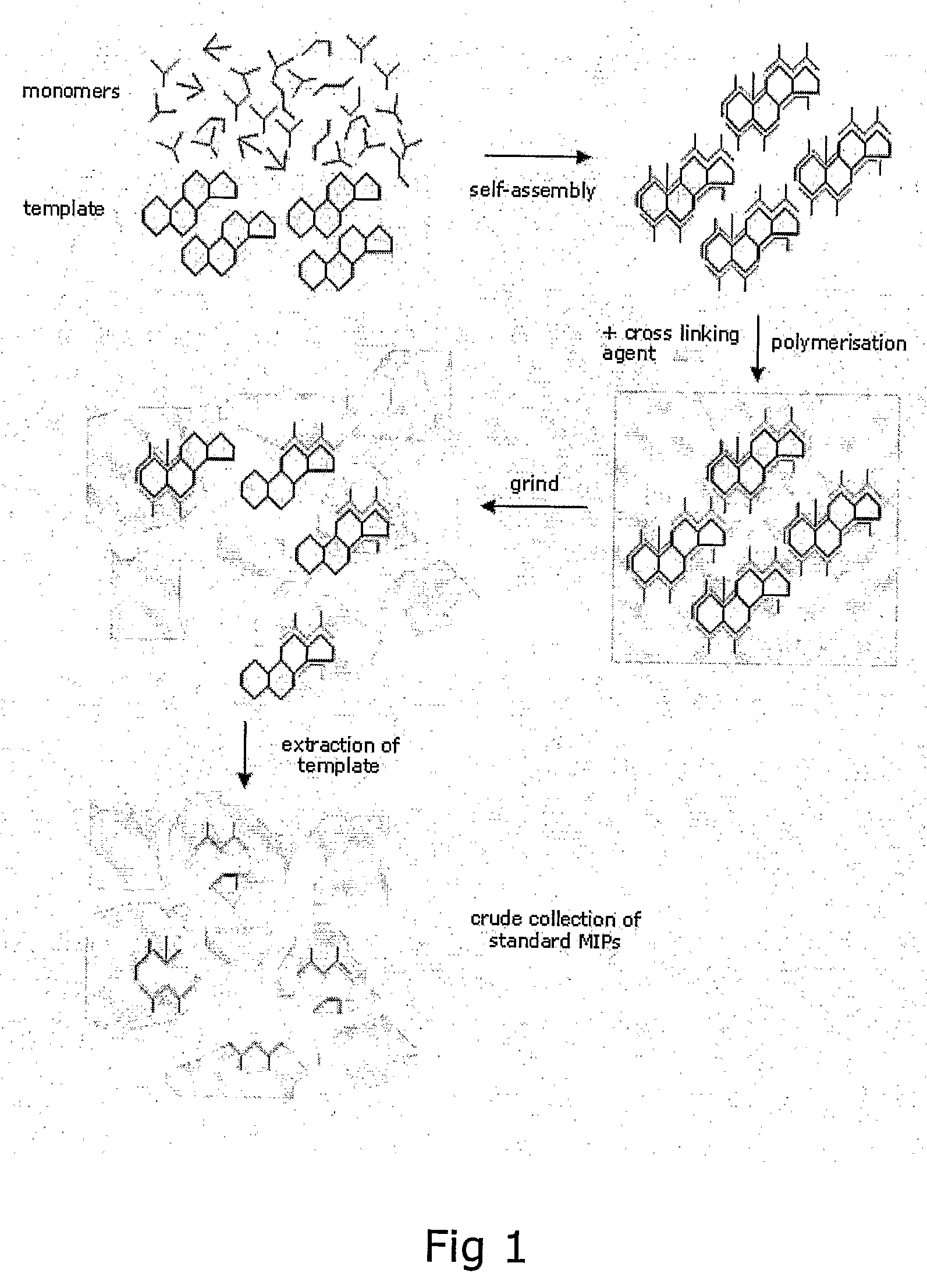 Preparation of Molecular Imprinted Polymers