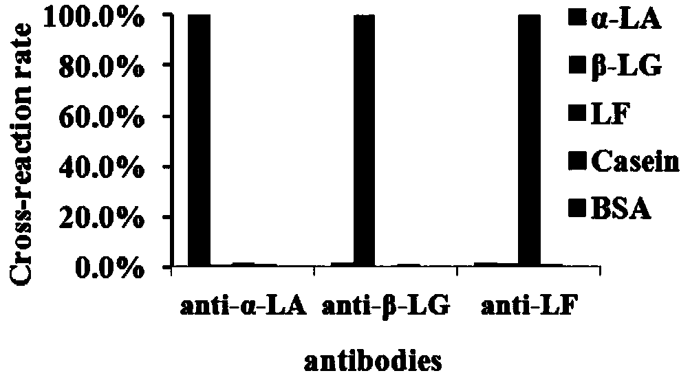 Method for simultaneously detecting contents of alpha-lactalbumin, beta-lactoglobulin and lactoferrin based on aptamer probe