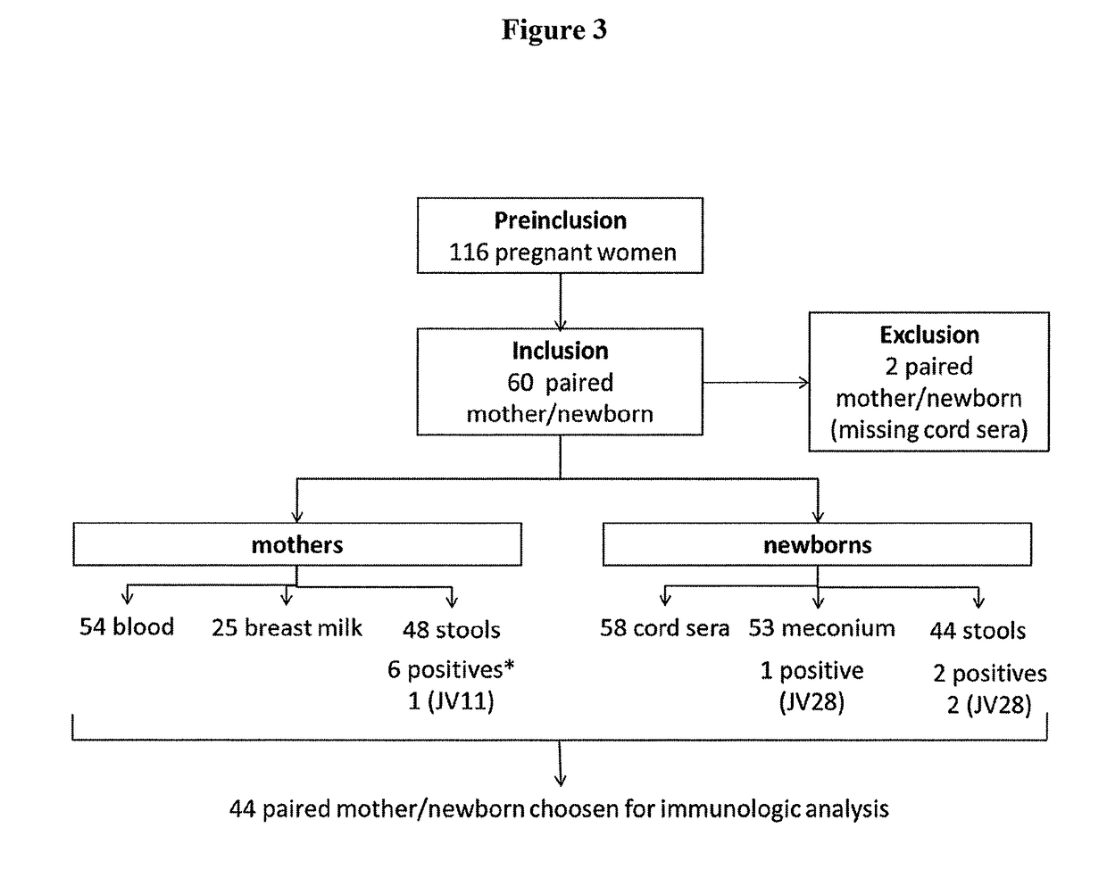 Predictive value of clostridium difficile-specific immune response for recurrence and disease outcome
