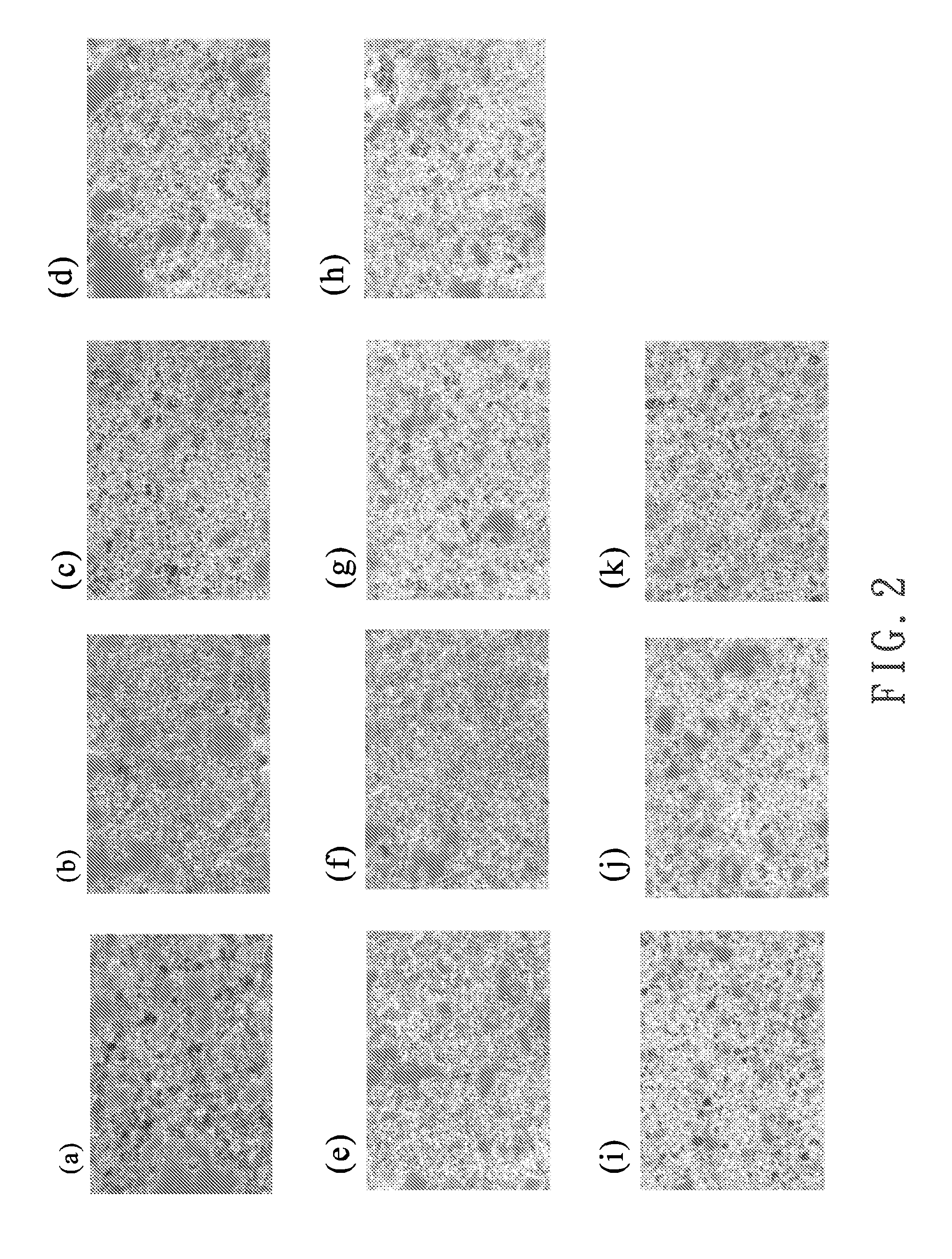 Composite of herbal extracts for lowering blood lipid and medication comprising the said composite