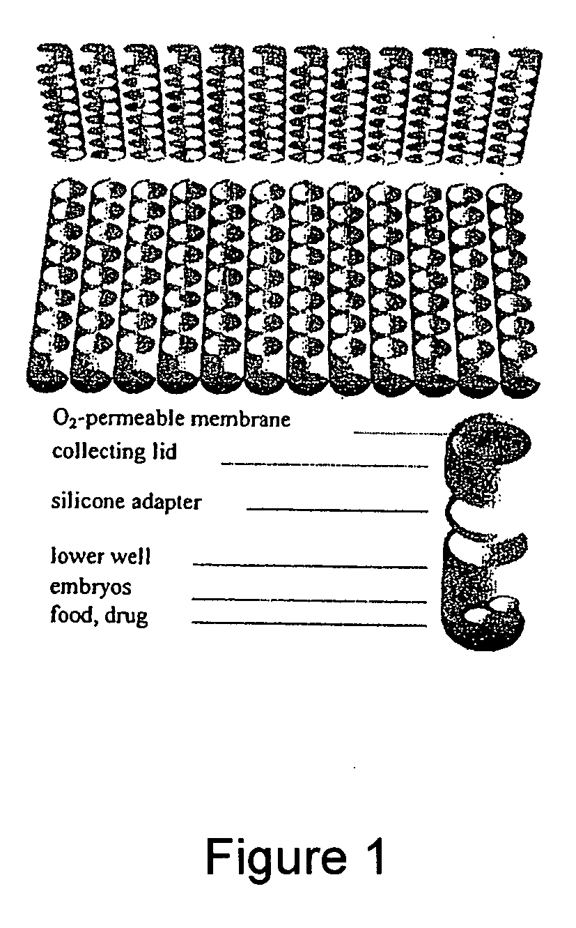 High throughput screening methods for anti-metastatic compounds