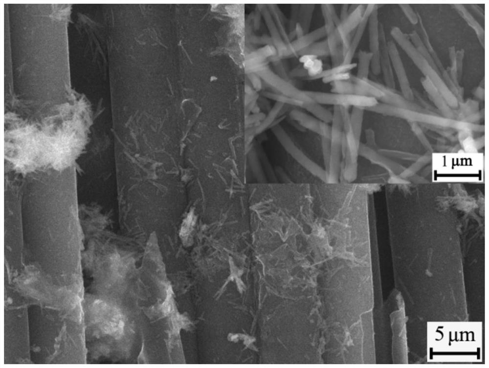 Preparation method of carbon fiber/rare earth oxide nanowire mixed reinforcement, as well as obtained material and application of carbon fiber/rare earth oxide nanowire mixed reinforcement