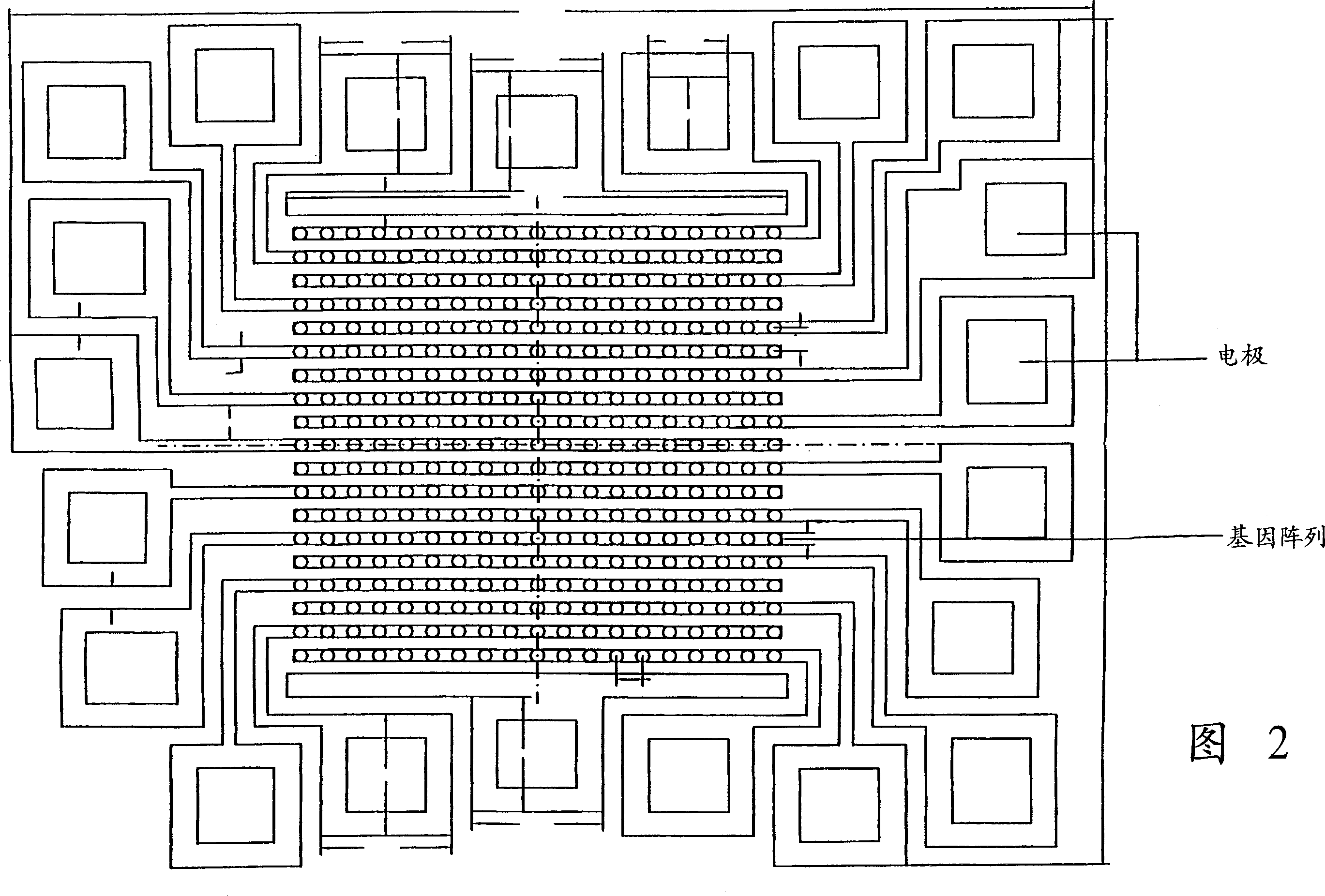 Device and method for detecting gene sequence