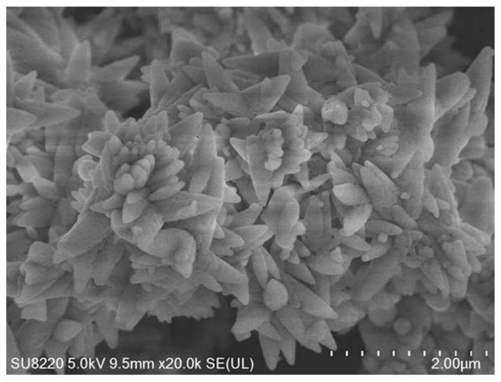 Preparation of Calcium Carbonate by Bubble Film Method and Its Application