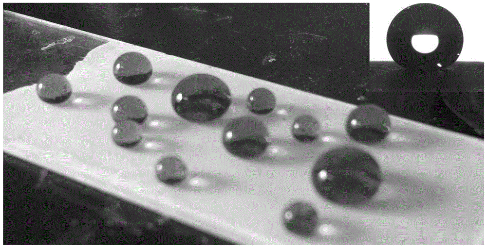 A kind of inorganic superhydrophobic coating and its application