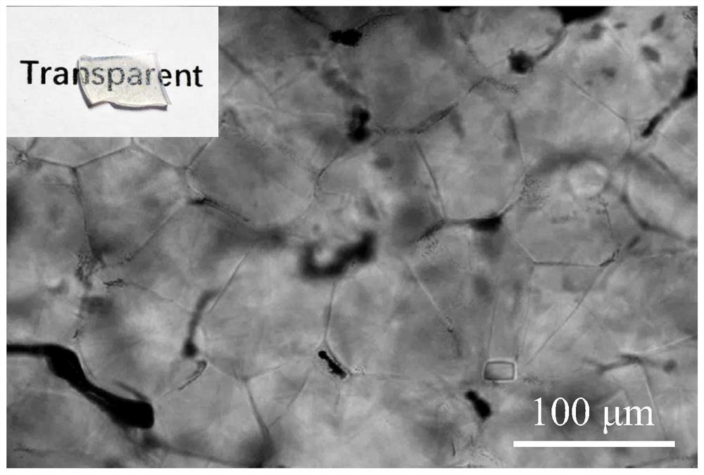 A kind of multiphase transparent ceramic, multiphase transparent ceramic optical fiber and its preparation method and application