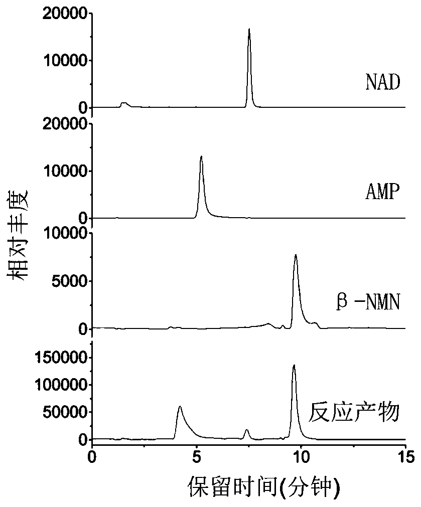 Method for preparing [beta]-nicotinamide mononucleotide