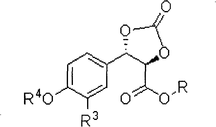 Preparation method of 3-aryl lactic acid derivatives