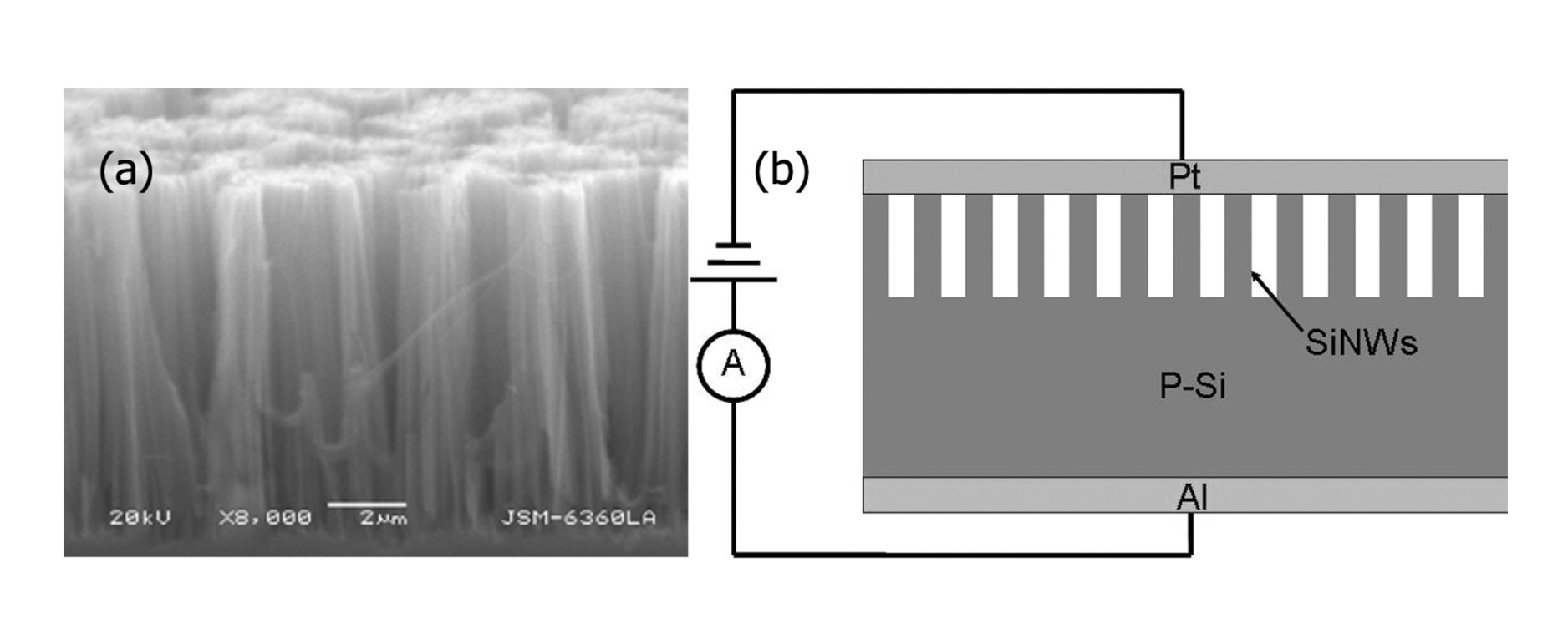 Preparation method for Schottky diode based on core/shell structure silicon nanowire set