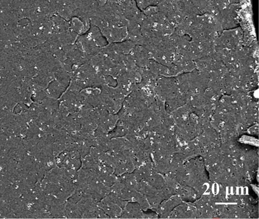 Preparation, product and application of fluorescently labeled polyester/periodic mesoporous bone filling composites with degradable rate