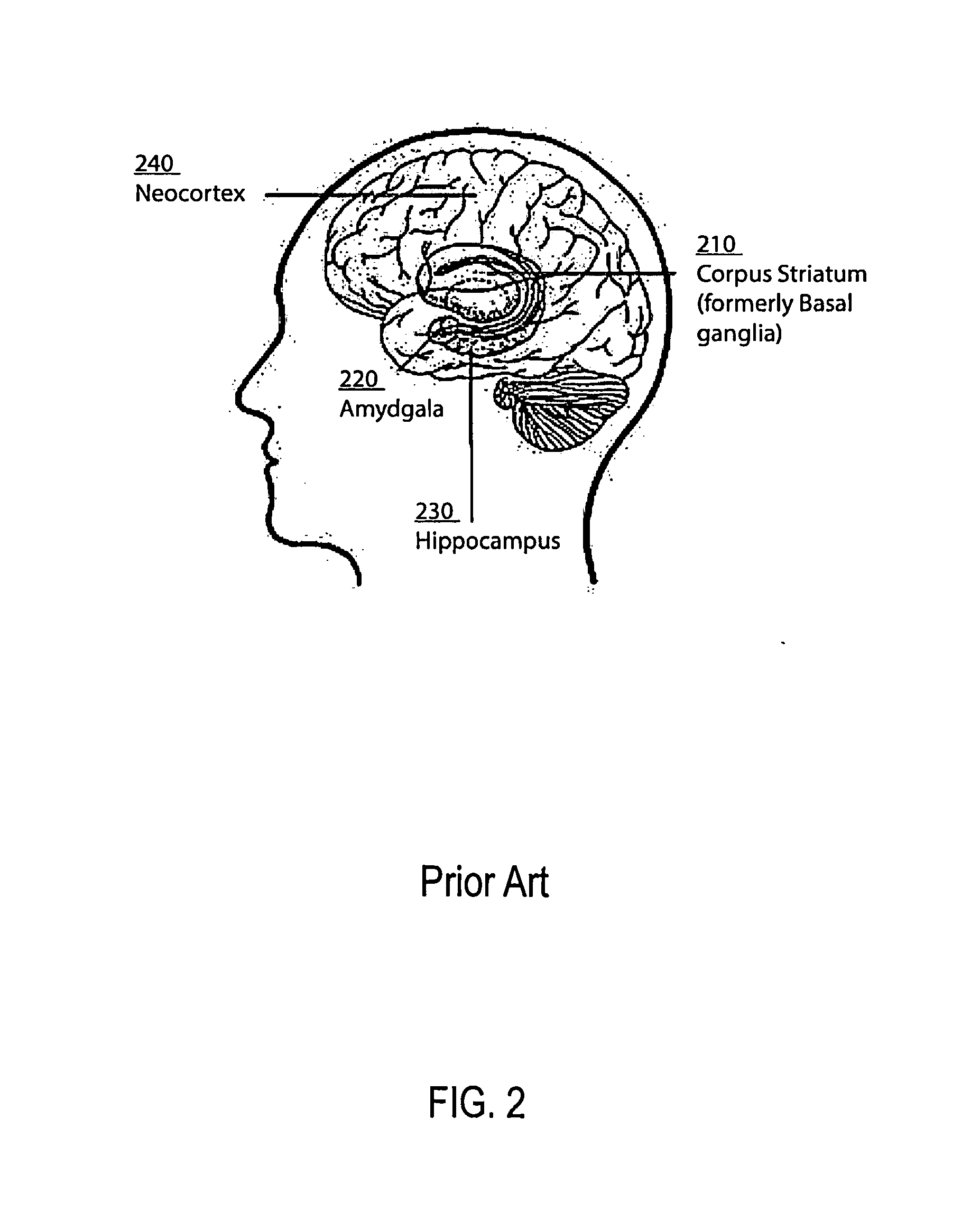 Method and apparatus for constructing, using and reusing components and structures of an artifical neural network