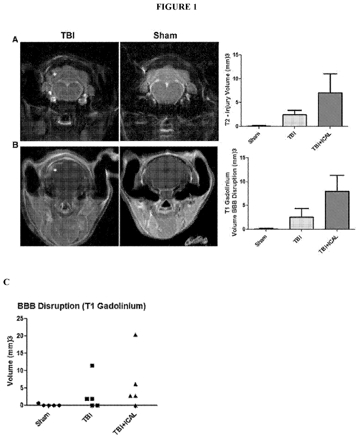 Compositions for increasing resilience to traumatic brain injury