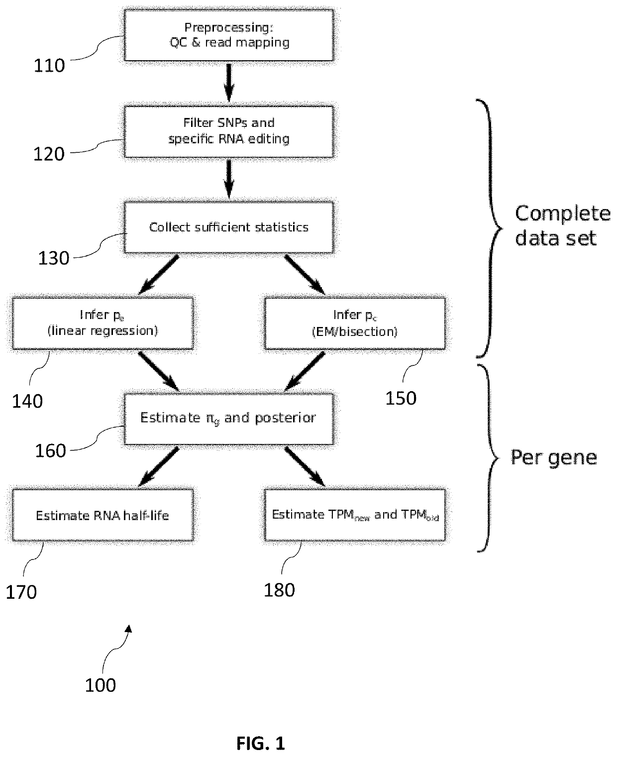 Method for determining a quantification of old and new RNA