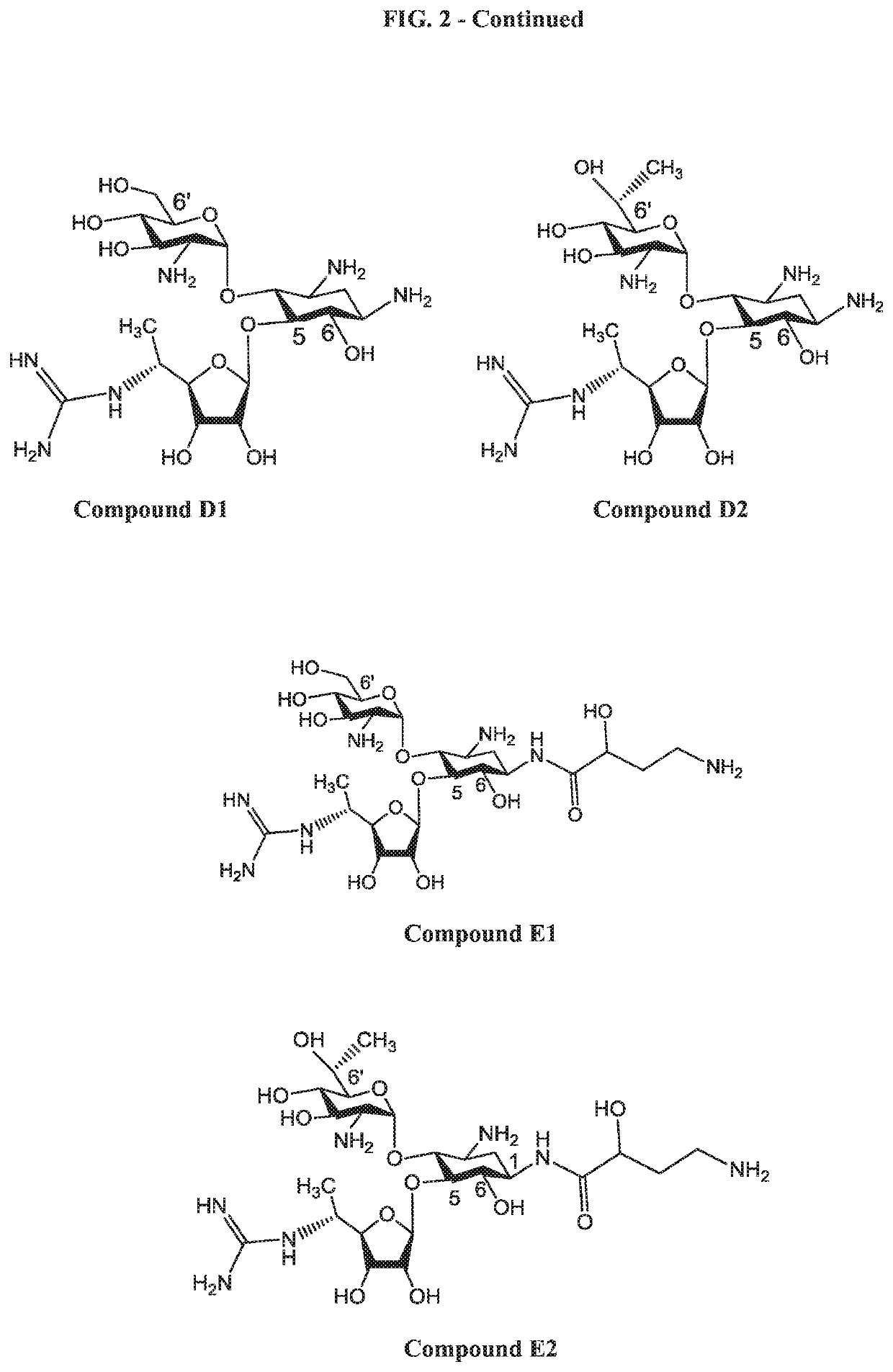 Aminoglycoside derivatives and uses thereof in treating genetic disorders