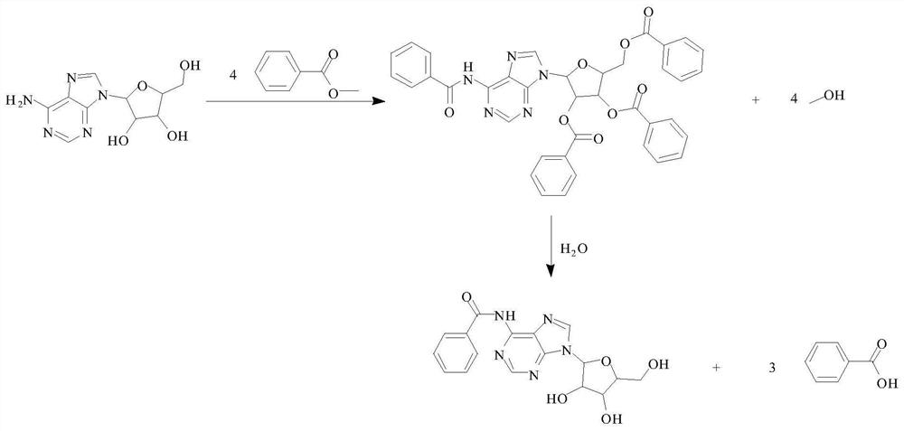 Method for preparing N6-benzoyladenosine