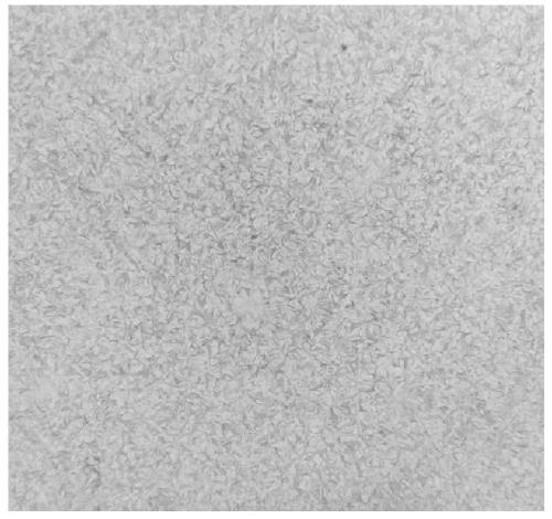 White crystal flower frit, white crystal flower decorative ceramic tile and preparation method thereof