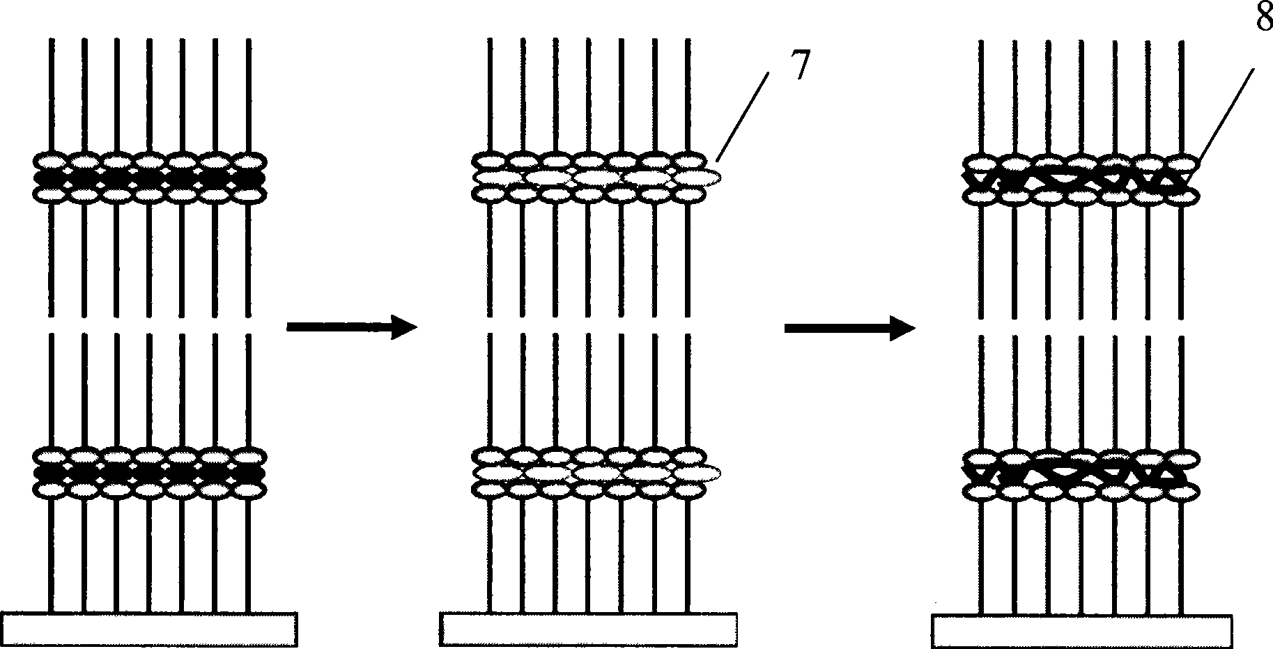 Method for preparing conductive polymers ordered nano film