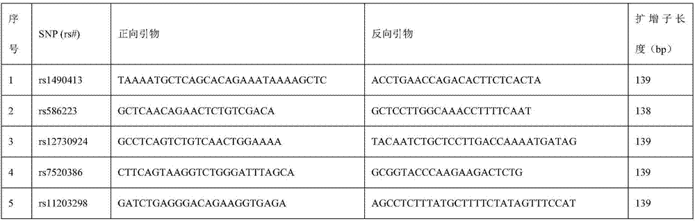 Constructing method of maternal plasma free DNA library and typing method of parental alleles