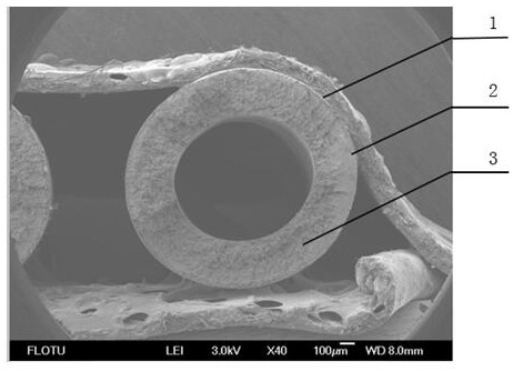 A kind of preparation method of polyvinylidene fluoride hollow fiber hollow fiber microporous membrane with large flux removal virus