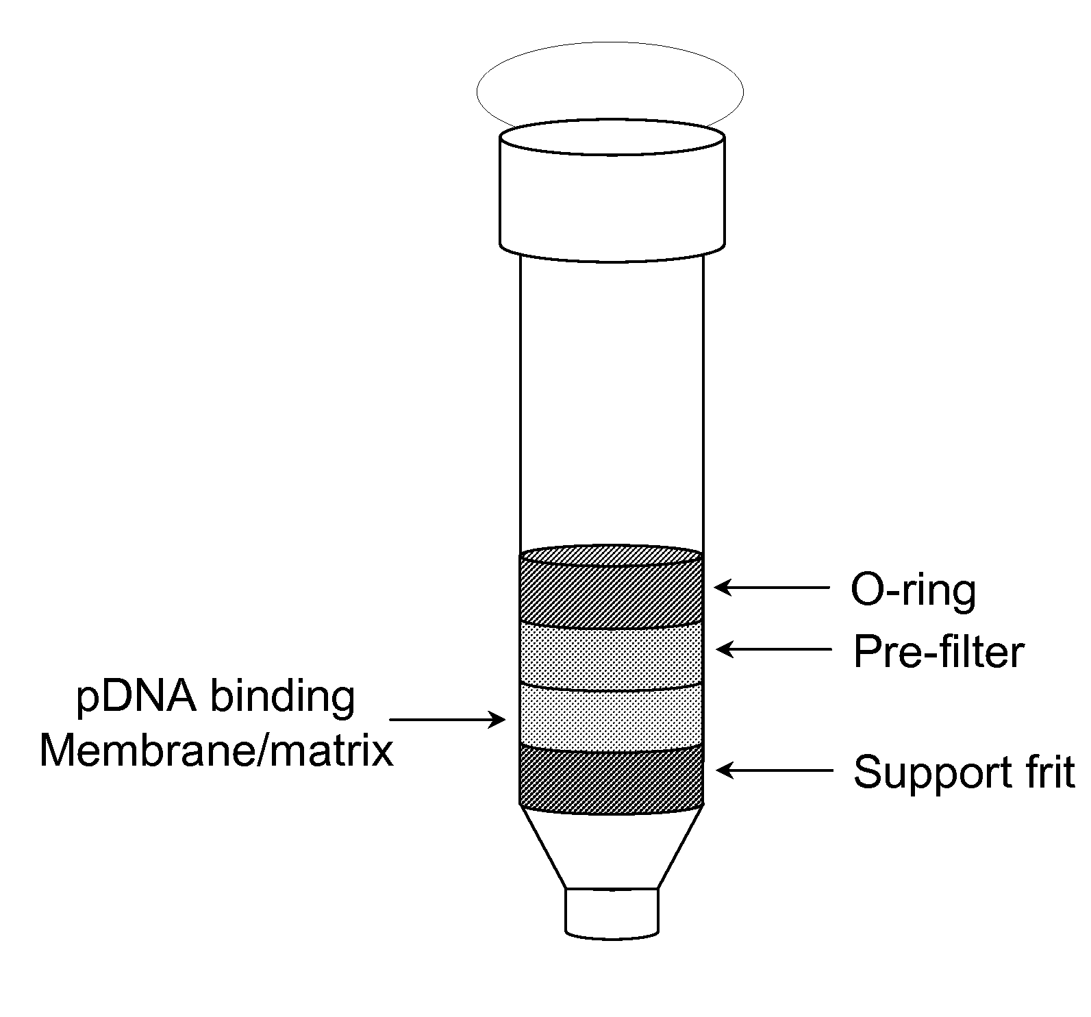 Modified spin column for simple and rapid plasmid DNA extraction