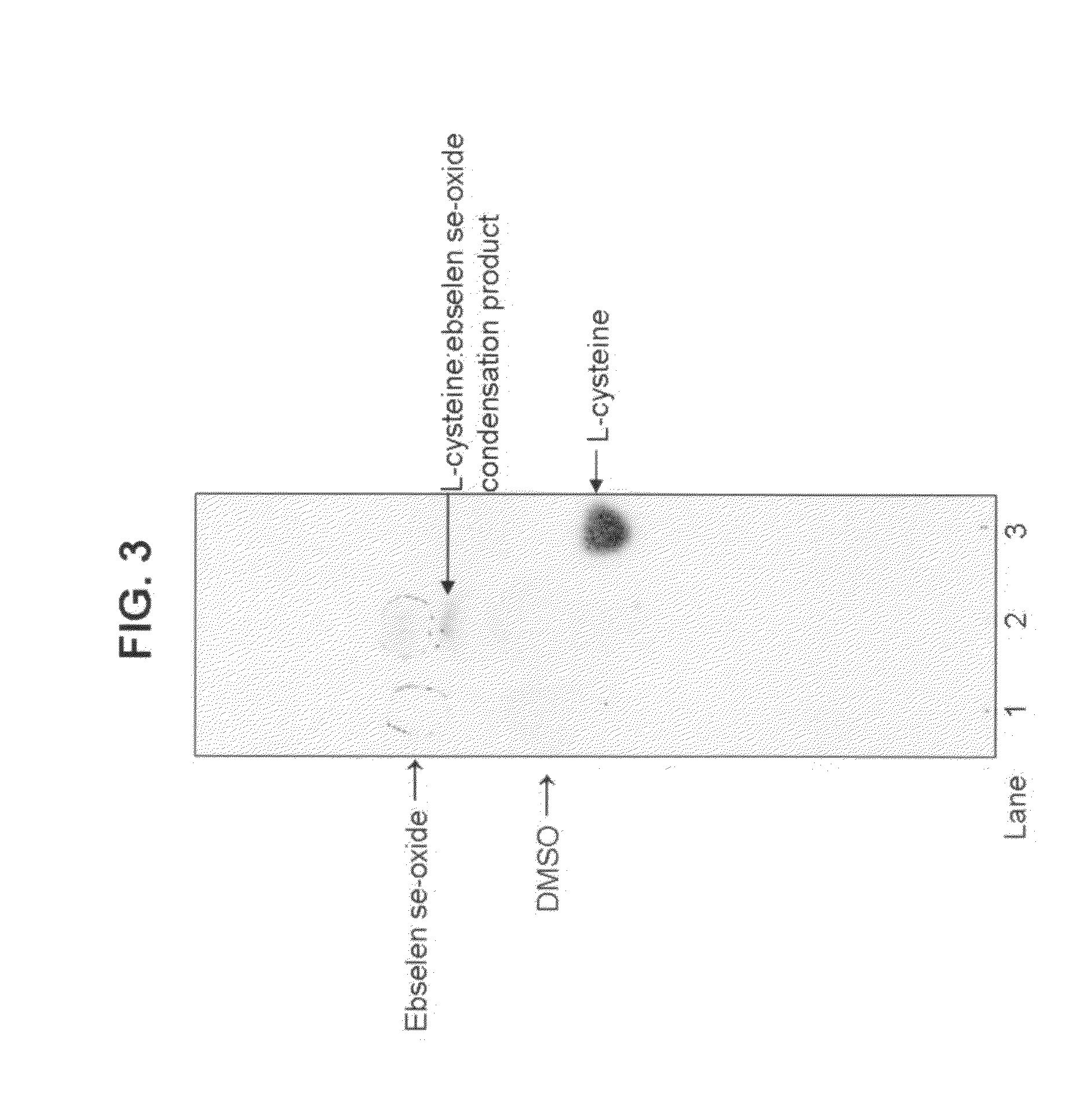 Process for the treatment of bacterial infections using 2-phenyl-1,2-benzisoselenazol-3(2H)-one 1-oxide