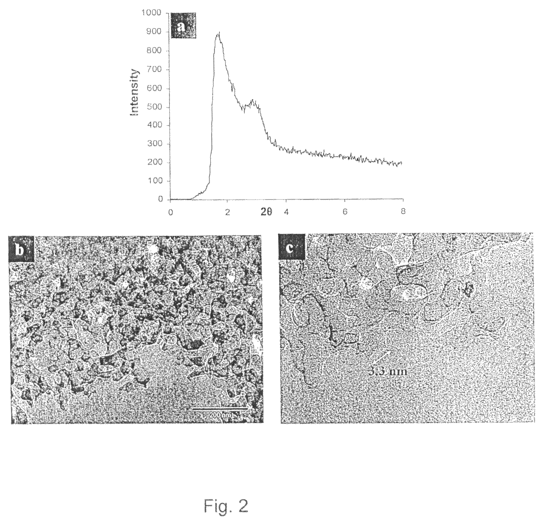 Method for manufacturing a nanoporous framework and a nanoporous framework thus produced