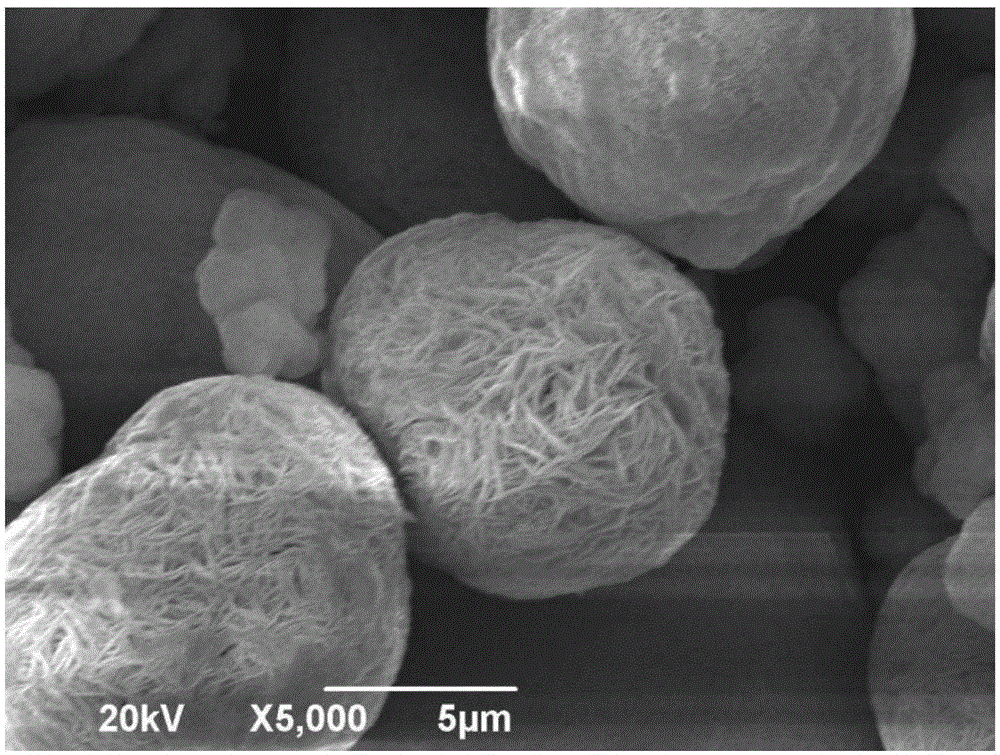 Lithium ion battery cathode material and preparation method thereof