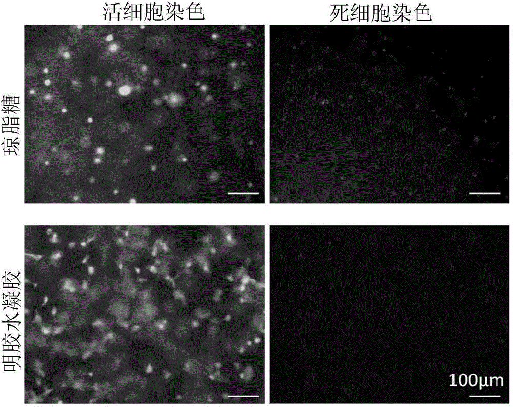 Photo-crosslinking material, hydrogel formed by photo-crosslinking material and preparation method and application thereof