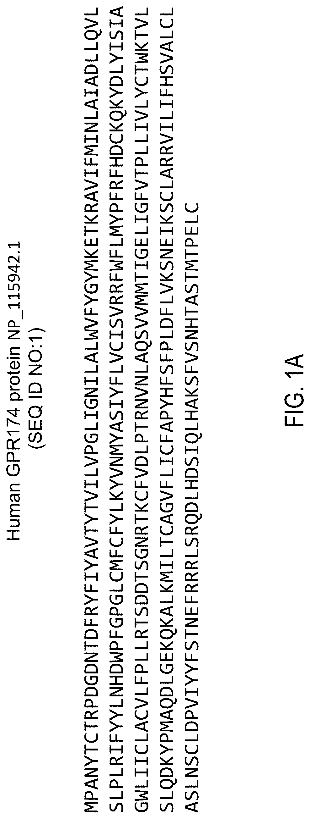 Inhibitors of GPR174 and Uses Thereof