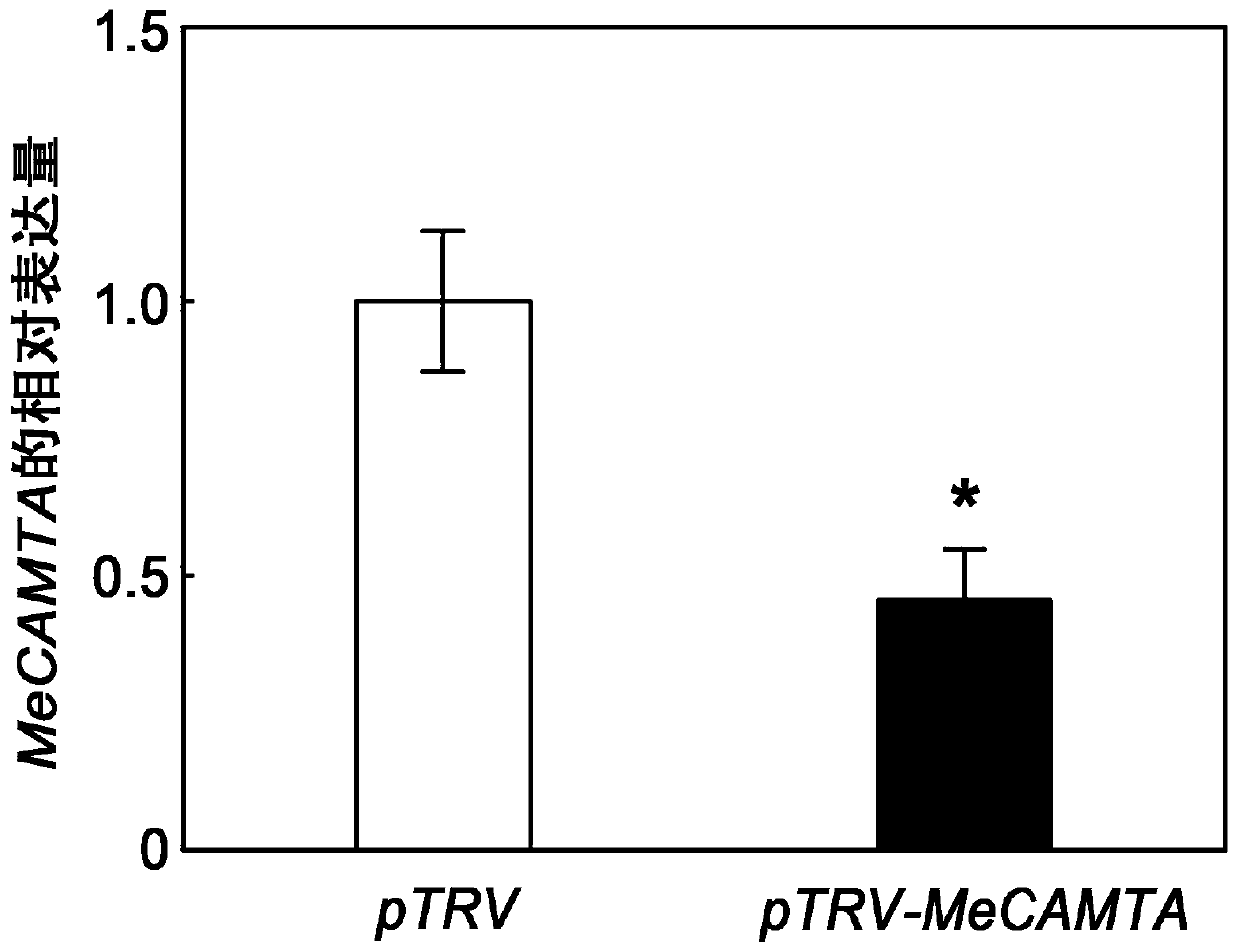 Cassava CAMTA (calmodulin-binding transcription activator) gene as well as construction and disease-resistant application of inhibitory expression vector of cassava CAMTA gene