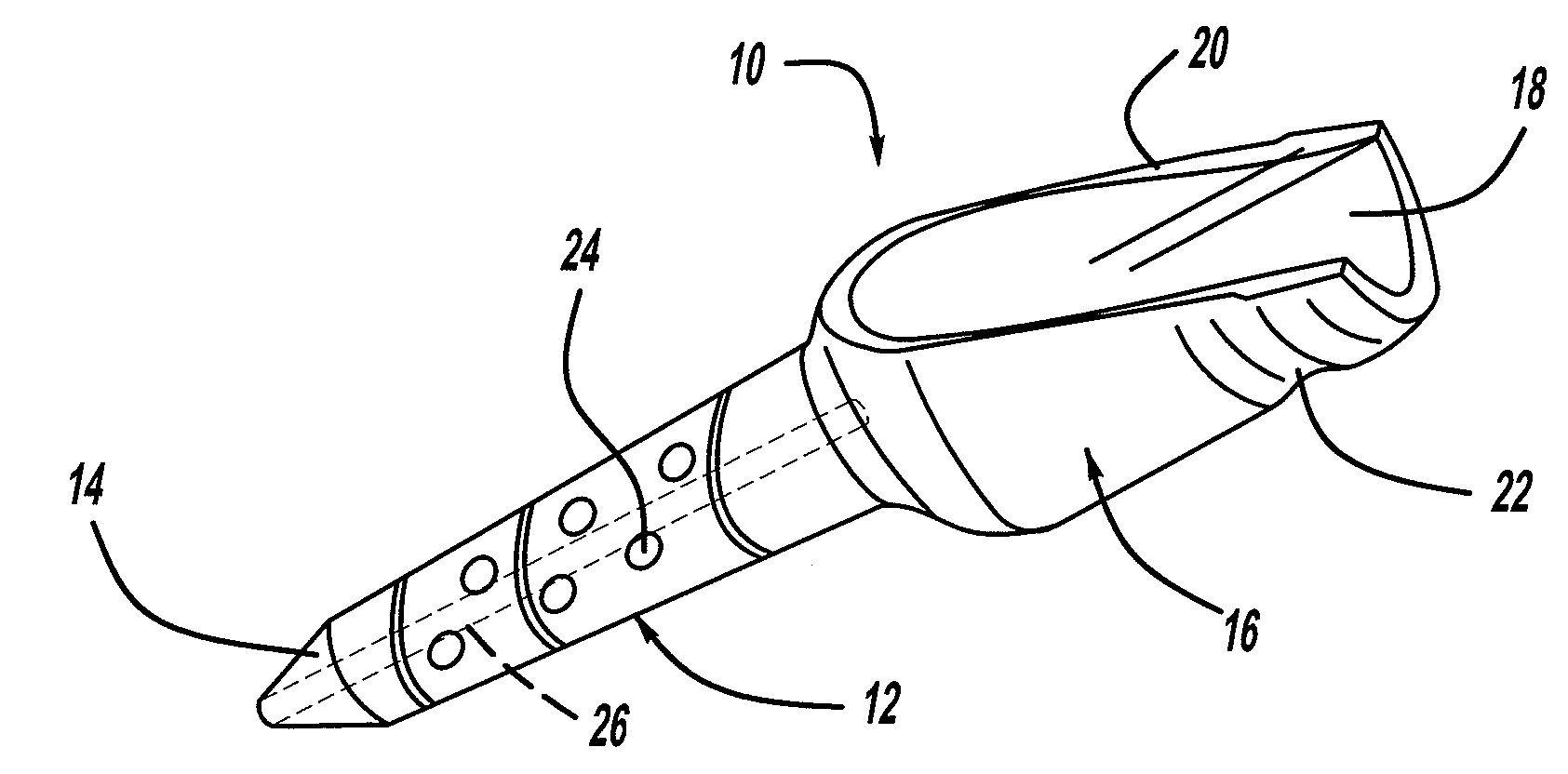 Surgical Screw Including a Body that Facilitates Bone In-Growth